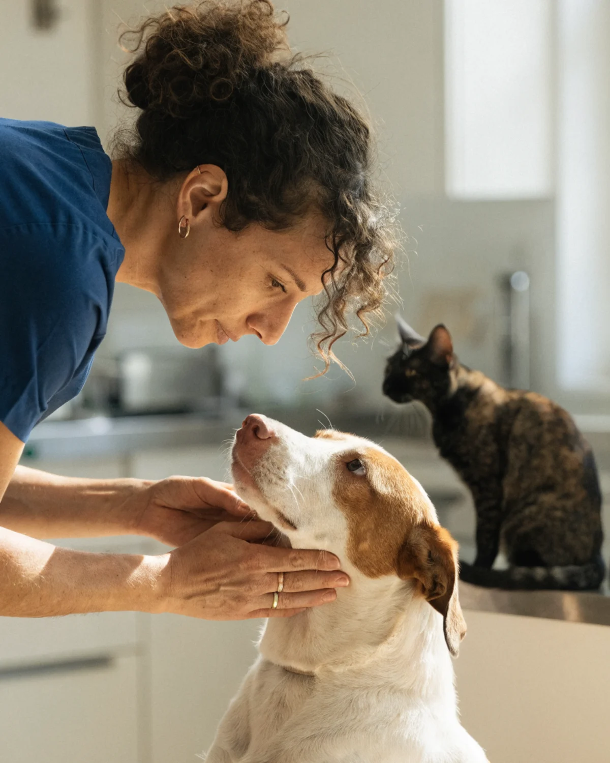Clínica Veterinaria Somo