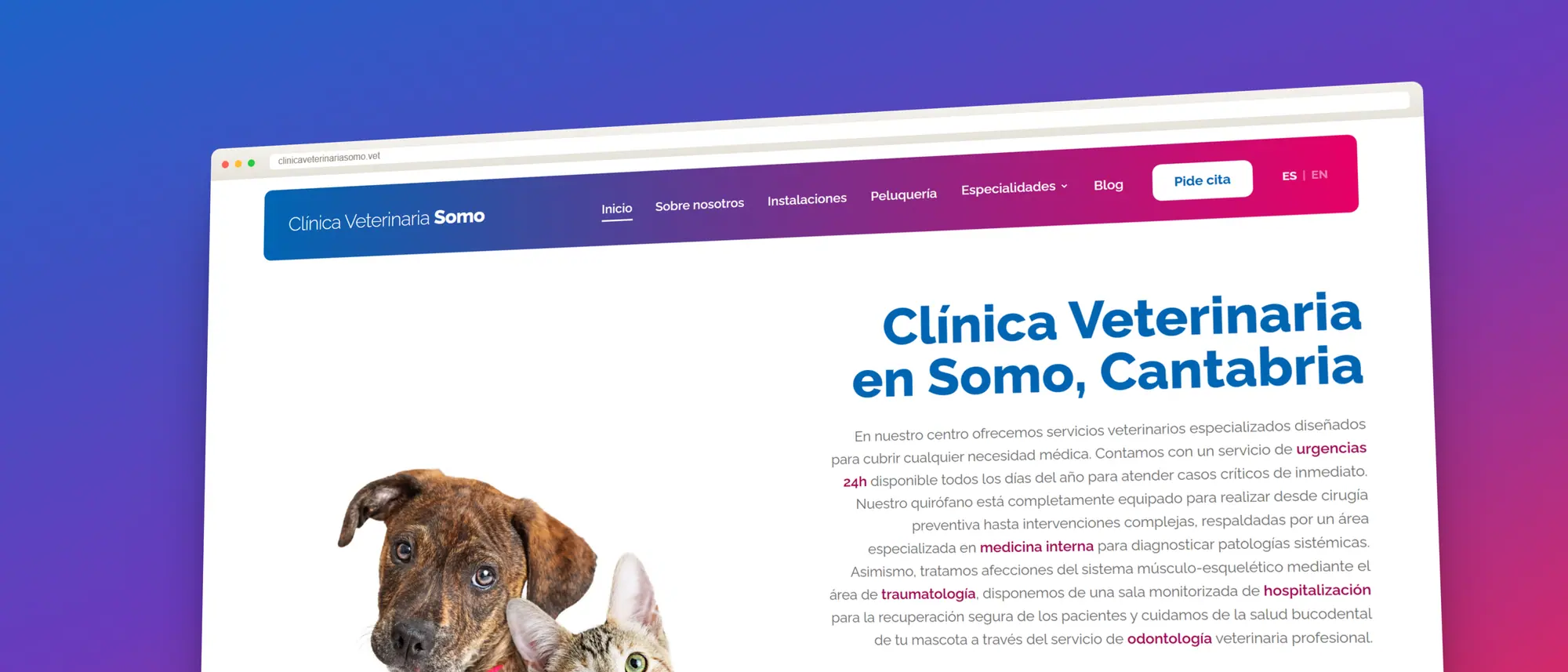 Tour virtual 3D del espacio