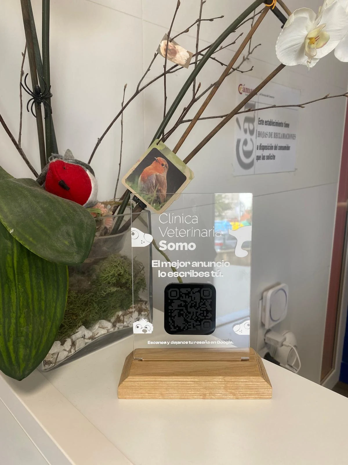 Soporte de captación de reseñas de Clínica Veterinaria Somo con código QR, en la propia clínica
