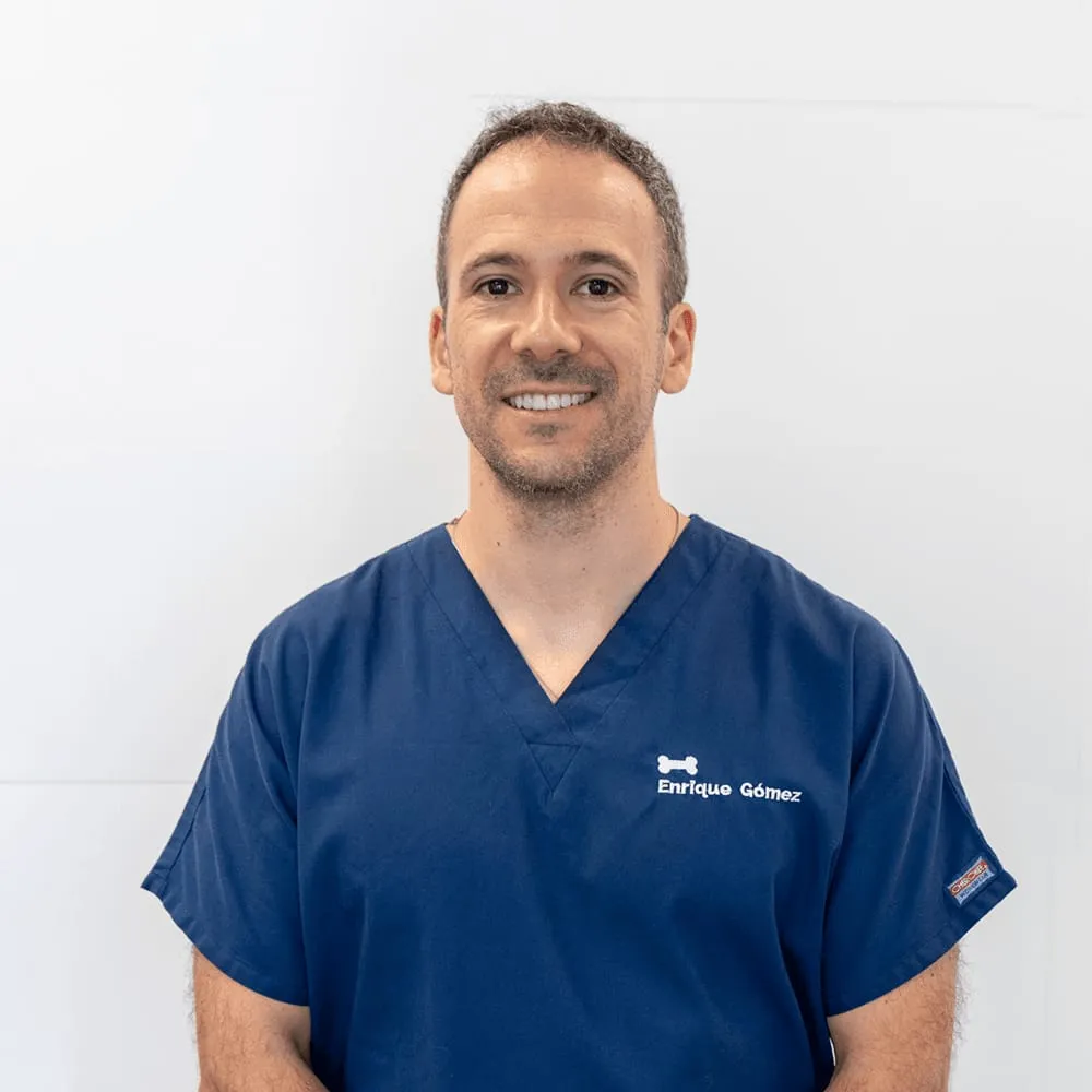 Quique Gómez — Veterinario