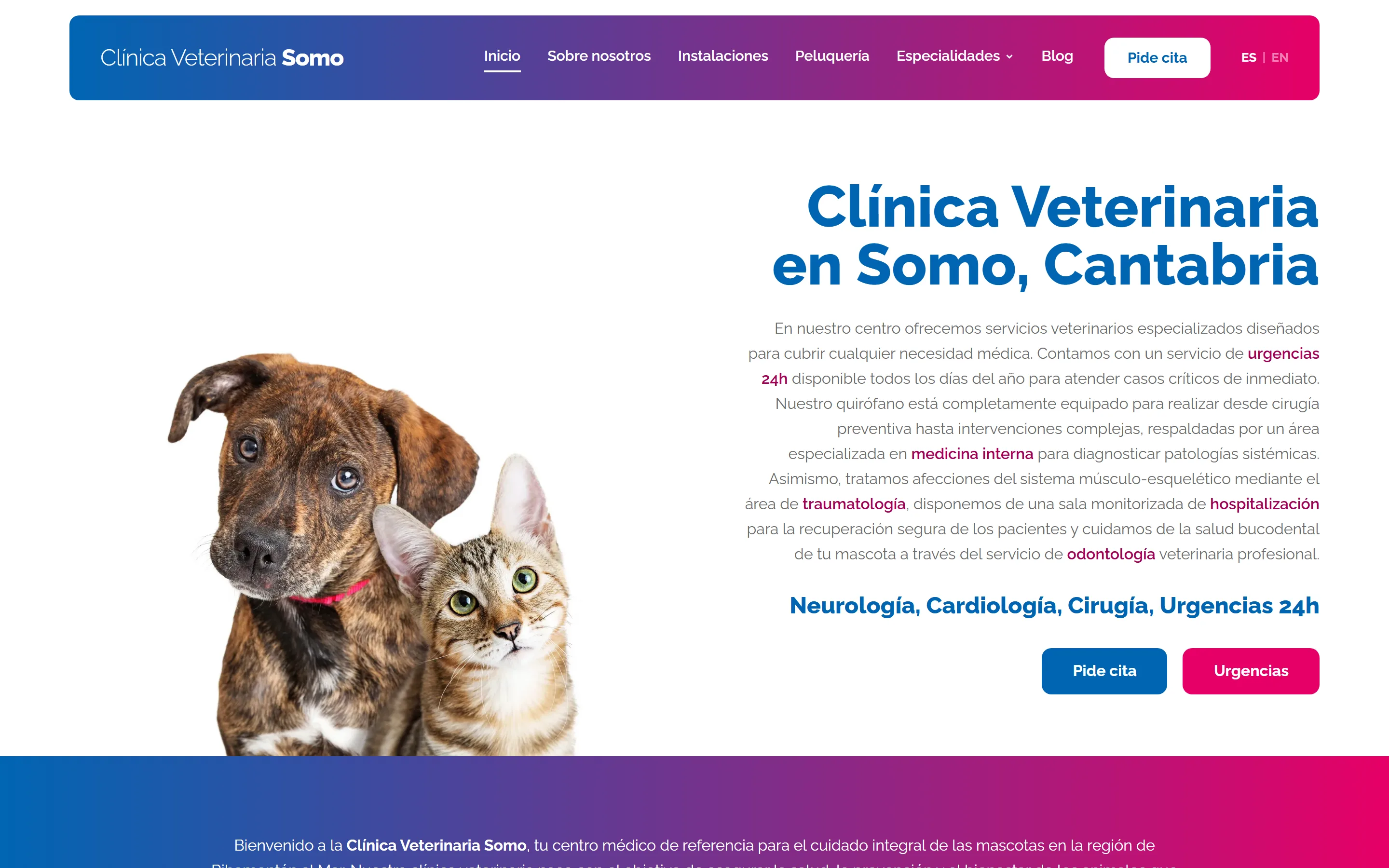 Web de Clínica Veterinaria Somo